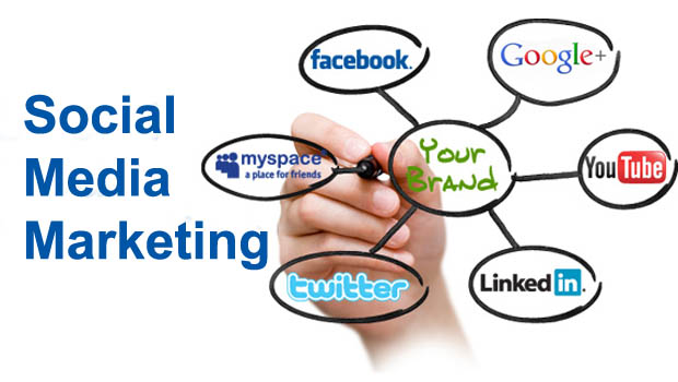 Social Media Management Services in Florida, SMM Services, Best Social Media Marketing Company in India