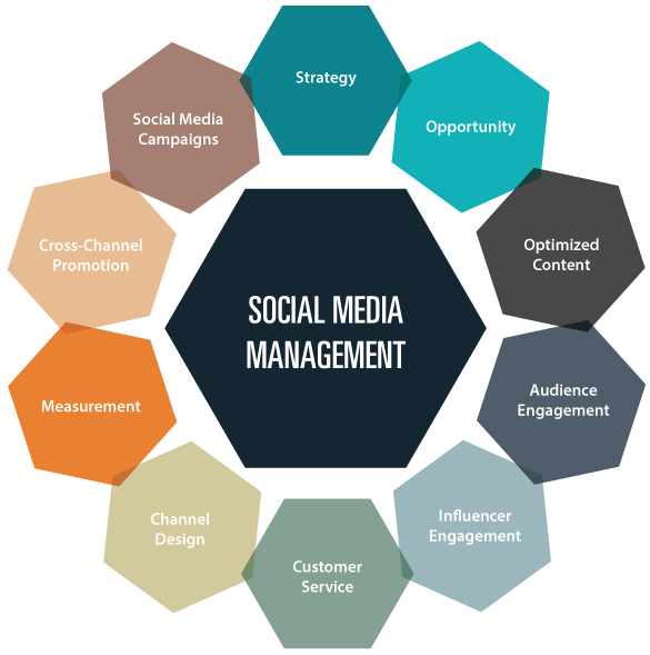 Best Social Media Account Management – Expert Social Media Marketing Agency in Florida